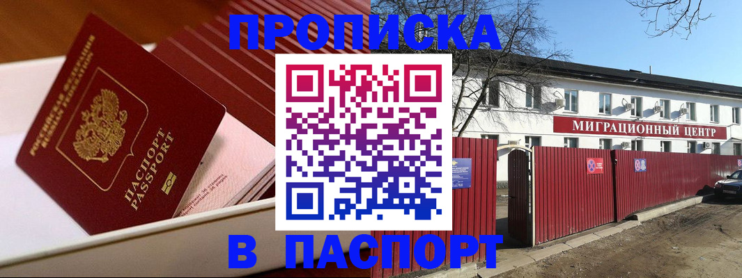 прописка 2025 в Сольцах